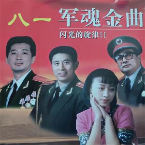 Listen to 西沙 我可爱的家乡 song with lyrics from 程志
