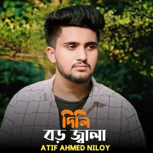 Album Dili Boro Jala from Atif Ahmed Niloy
