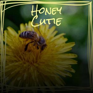 Listen to Stinking Baby song with lyrics from Hoong Nimer