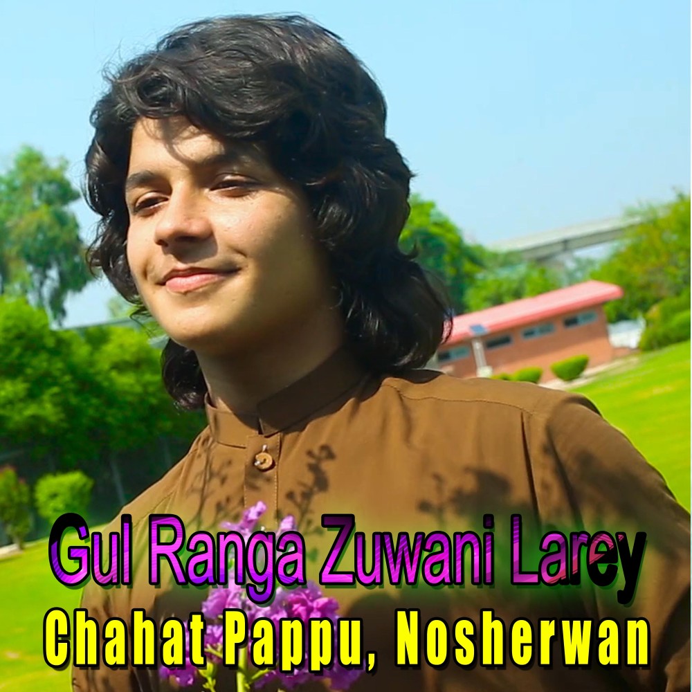 Gul Ranga Zuwani Larey