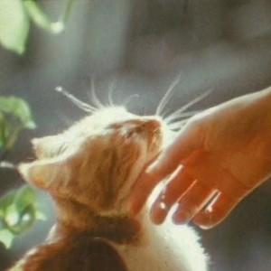 ดาวน์โหลดและฟังเพลง Limerence พร้อมเนื้อเพลงจาก STS-51L