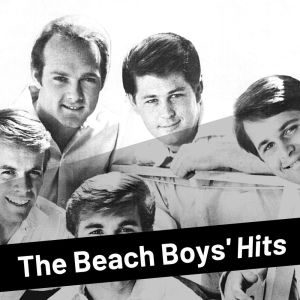 ดาวน์โหลดและฟังเพลง County Fair พร้อมเนื้อเพลงจาก The Beach Boys