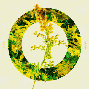 Listen to Solidago song with lyrics from Dye O