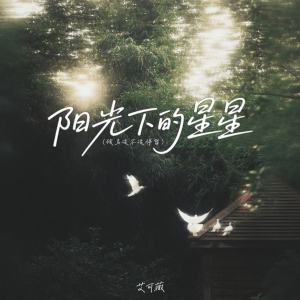 Listen to 阳光下的星星 (候鸟该不该停留) song with lyrics from 艾可薇