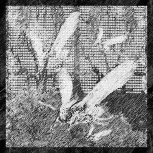 收聽Red的Giorno d'Oggi歌詞歌曲