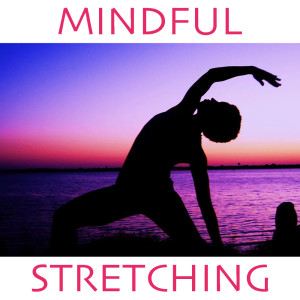 Listen to The Inner Voice song with lyrics from Power Shui