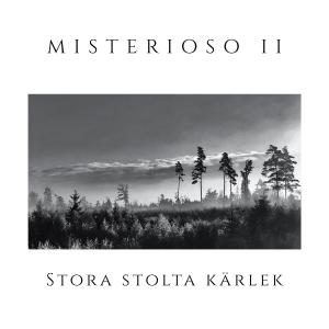 อัลบัม Stora stolta kärlek ศิลปิน Tedeborg