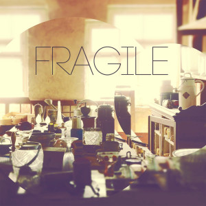 Catastrophic的专辑Fragile