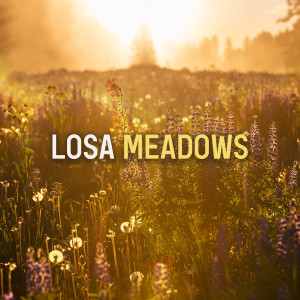 Album Meadows from Losa
