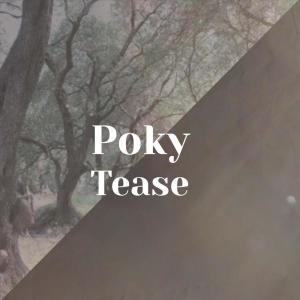 Listen to Poky Tease song with lyrics from Marsel Dham
