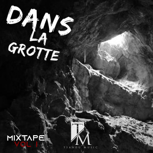 Album Dans la grotte mixtape, Vol. 1 (Explicit) from Various