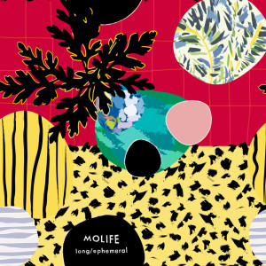 Album Long/Ephemeral oleh Molife