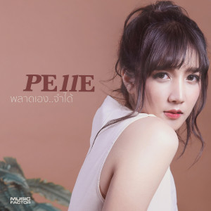 ดาวน์โหลดและฟังเพลง พลาดเอง..จำได้ พร้อมเนื้อเพลงจาก Pelle