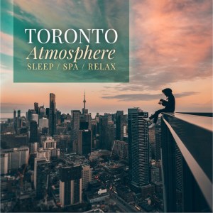 收听Toronto Atmosphere的Polson Pier歌词歌曲