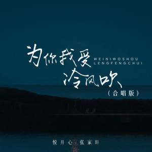 Listen to 为你我受冷风吹 song with lyrics from 张家旺