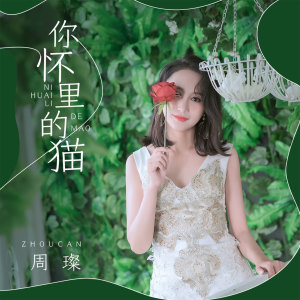 Album 你怀里的猫 from 周璨