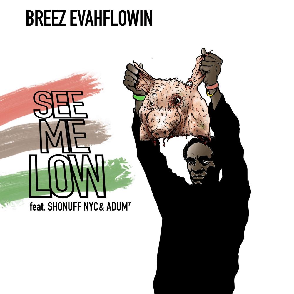 See Me Low (feat. Shonuff NYC & ADUM⁷) (Explicit)