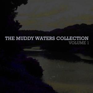 ดาวน์โหลดและฟังเพลง I Want You to Love Me พร้อมเนื้อเพลงจาก Muddy Waters
