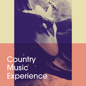 Album Country Music Experience from Various Artists