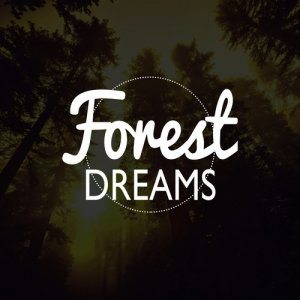 ดาวน์โหลดและฟังเพลง Bird Shower พร้อมเนื้อเพลงจาก Dreams of Nature