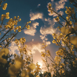 ดาวน์โหลดและฟังเพลง When I Met U (Lullaby) พร้อมเนื้อเพลงจาก fnonose