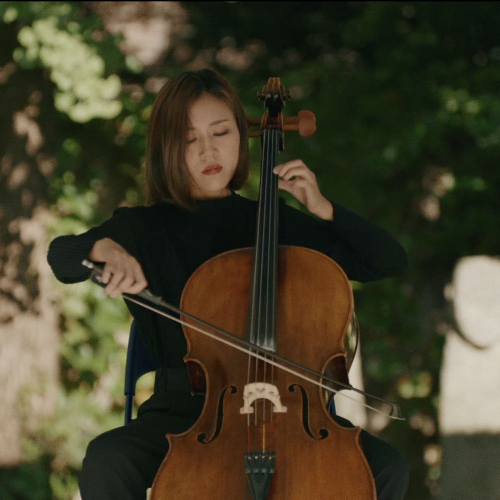 빅바이올린 플레이어
