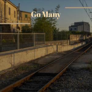 Album Go Many from Various