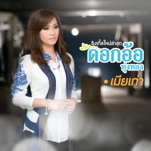 收聽ดอกอ้อ ทุ่งทอง的เมียเก่า歌詞歌曲