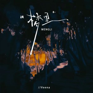Listen to 梦里 (伴奏) song with lyrics from Veena