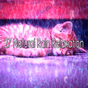 Dengarkan Excited Weather lagu dari Rain for Deep Sleep dengan lirik