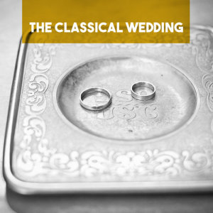 ดาวน์โหลดและฟังเพลง Canon in D Major พร้อมเนื้อเพลงจาก Mayfair Philharmonic Orchestra