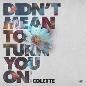 收聽Colette的Didn't Mean To Turn You On (Torrfisk Remix)歌詞歌曲