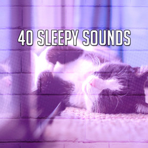 Dengarkan lagu Night Warmth nyanyian Spa Relaxation dengan lirik