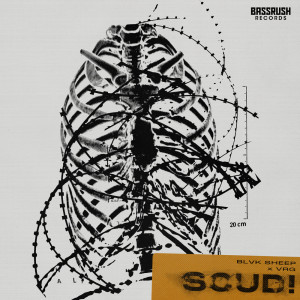 Blvk Sheep的专辑SCUD! (Explicit)