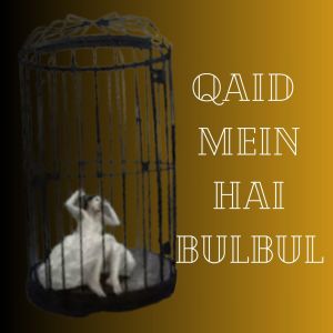 Album QAID MEIN HAI. BULBUL oleh Kavita Krishnamurty
