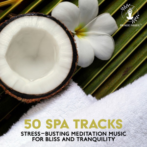 收聽Spa Music Paradise的Miracles of Love (Music for Freshness, Yoga and Spa)歌詞歌曲