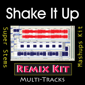 ดาวน์โหลดและฟังเพลง Shake It Up (128 BPM Instrumental Tribute To Selena Gomez) พร้อมเนื้อเพลงจาก Remix Kit