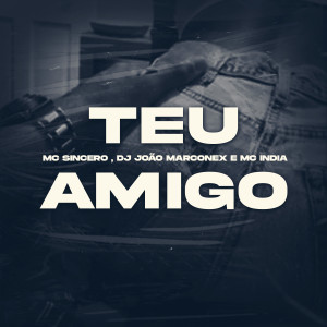 Album Teu Amigo (Explicit) from DJ João Marconex
