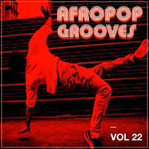 Various Artists的专辑Afropop Grooves, Vol. 22