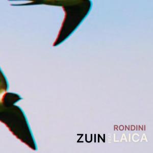 Album Rondini oleh Zuin