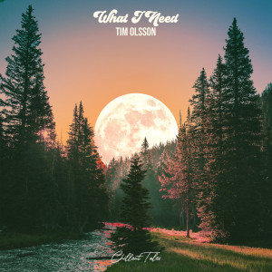 Listen to What I Need song with lyrics from Tim Olsson