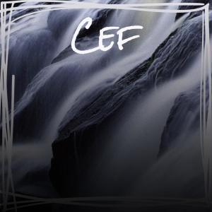 Various的专辑Cef