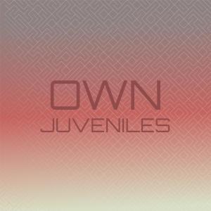 Album Own Juveniles oleh Various Artists