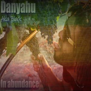 Album Danyahu in Abundance (Studio 2021) from Ras Niel