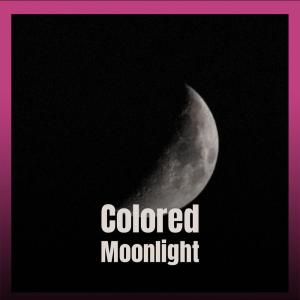 收聽Rodrig的Fantastic Dislike歌詞歌曲