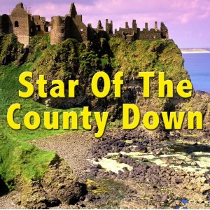 收聽The Irish Boys的Star Of The County Down歌詞歌曲