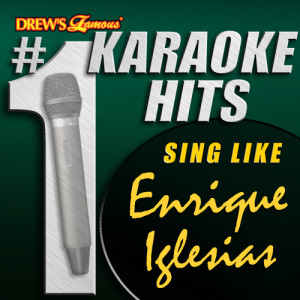 ดาวน์โหลดและฟังเพลง Hero (As Made Famous By Enrique Iglesias) พร้อมเนื้อเพลงจาก Karaoke