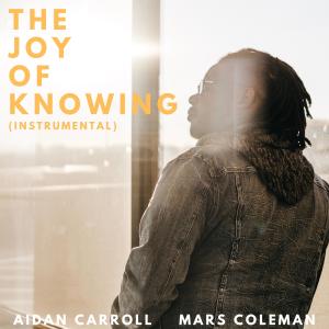 Aidan Carroll的專輯The Joy of Knowing (Instrumental) (feat. Aidan Carroll)