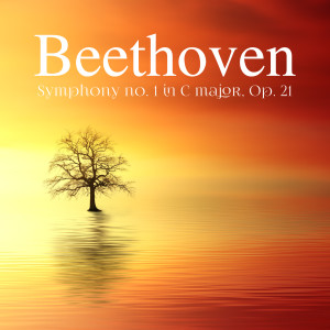 Album Symphony no. 1 in C major, Op. 21 oleh Ludwig van Beethoven