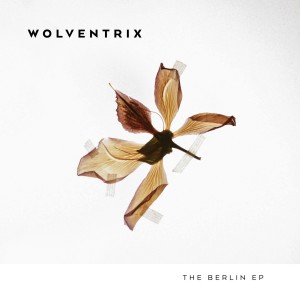 收聽Wolventrix的Gin And Cigarettes歌詞歌曲